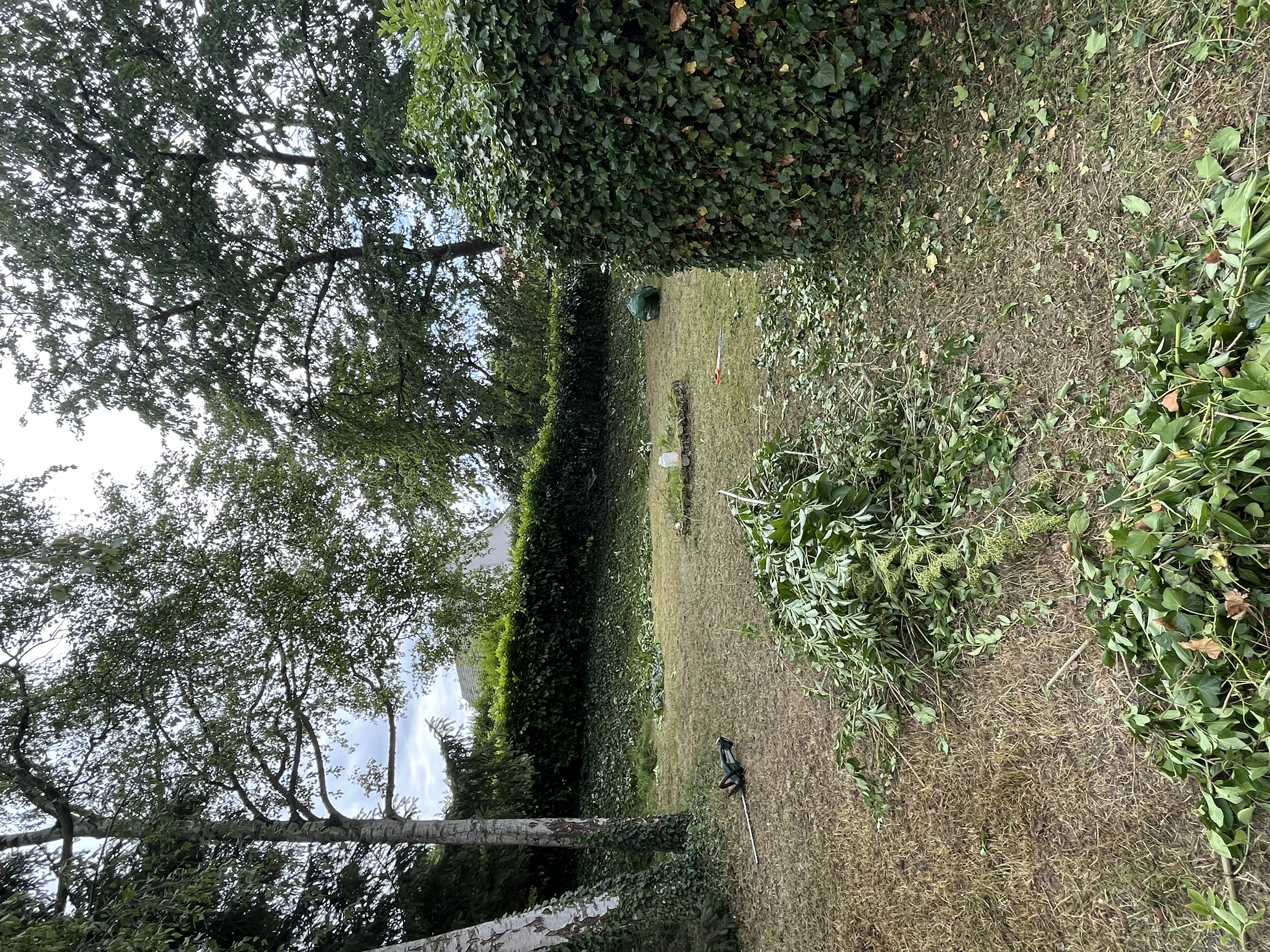 Chantier jardin — taille de haie, tonte, coupe d'arbustes et débroussaillage