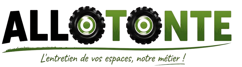 Allo Tonte